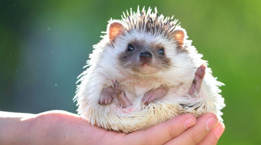 Pittsburgh Zoo & Aquarium presents Wonders of Wildlife