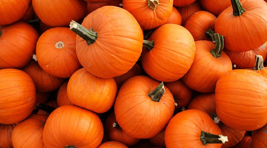 Arrayscape Gaming presents Minecraft Pumpkin Patch Hunt