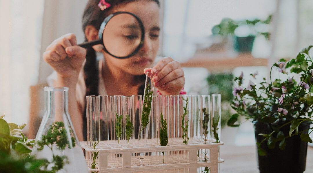 A child examines plant samples in test tubes.