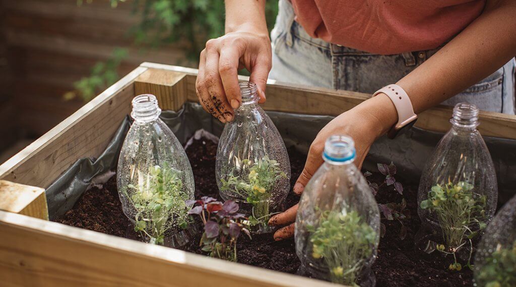 Phipps Conservatory Presents Container Gardening for Small Spaces