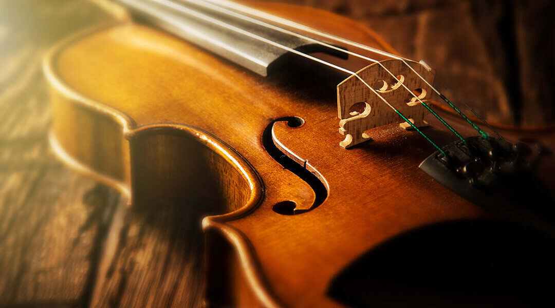 A violin