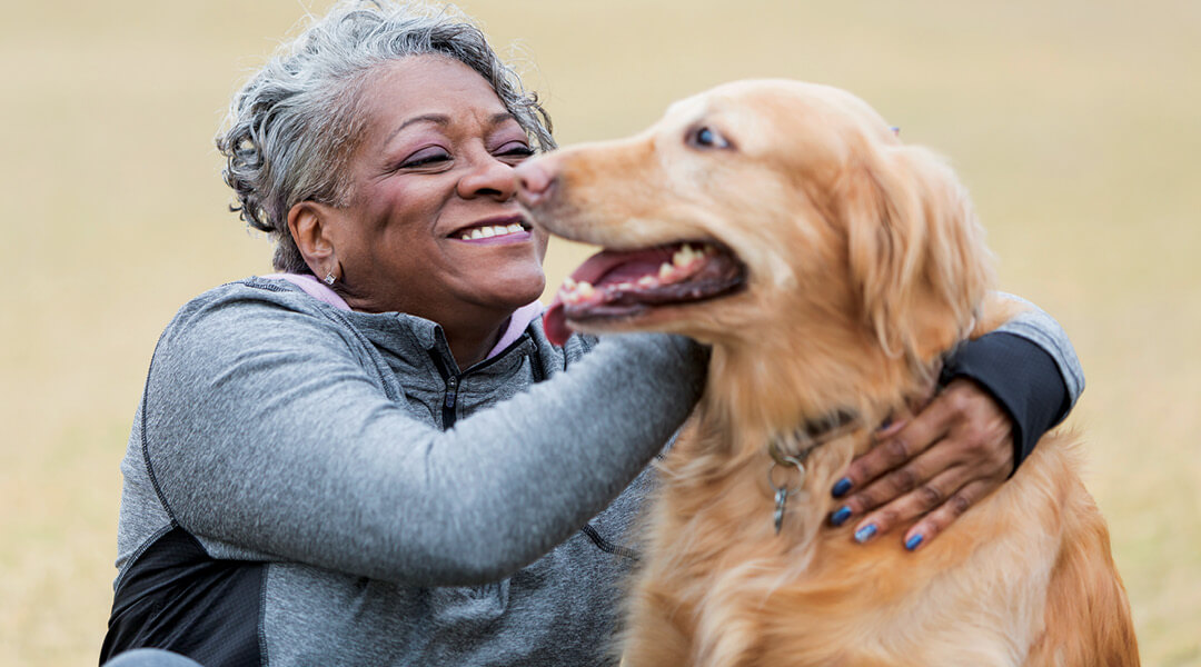 A senior adult pets a golden retriever.