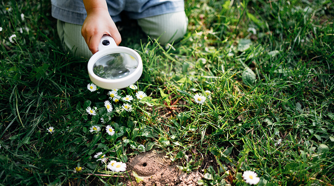 High angle view of an anonymous child looking at wildflower through magnifying glass outdoors.