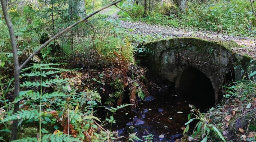 Three Rivers Waterkeeper presents What’s in Pittsburgh’s Rivers