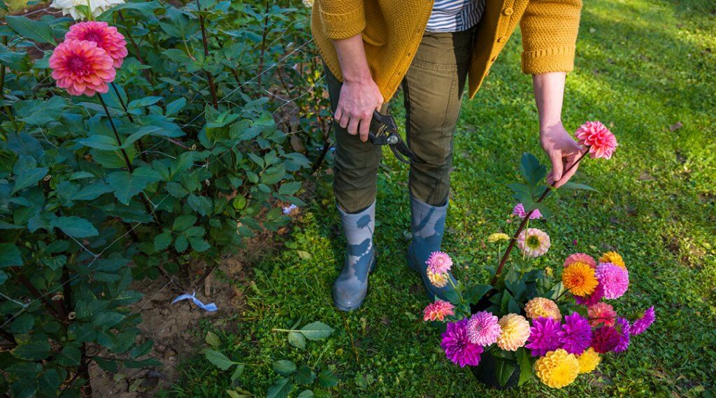 Create and Connect: Pressed Flower Tea Lights