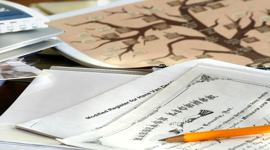 Various documents, such as an old wedding license, sit next to a family tree on a table.