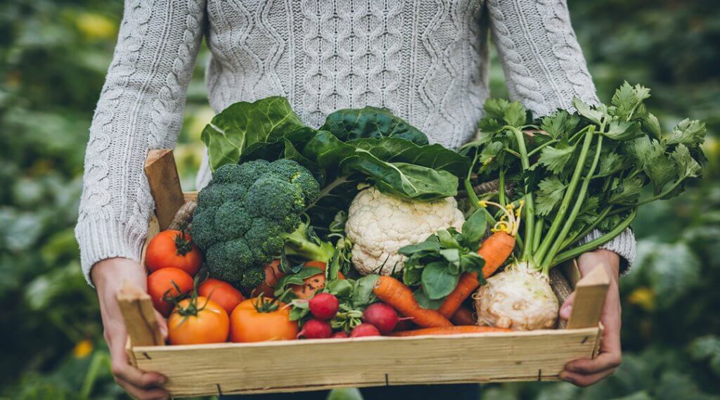 TheHoodGarden presents Seed to Sprout: Growing Your Own Food from the Ground Up