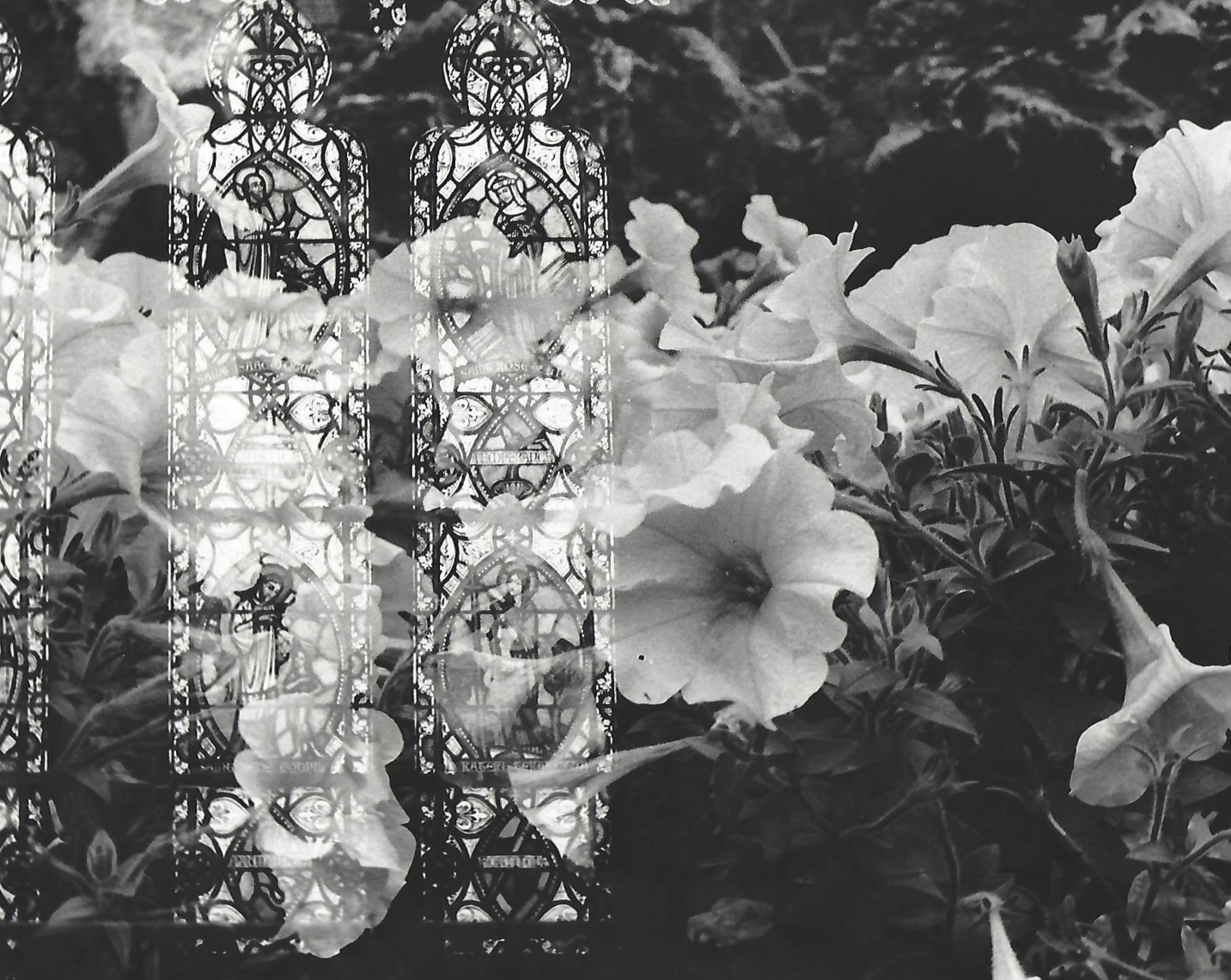 Black and white photograph of stained glass overlaid with flowers.