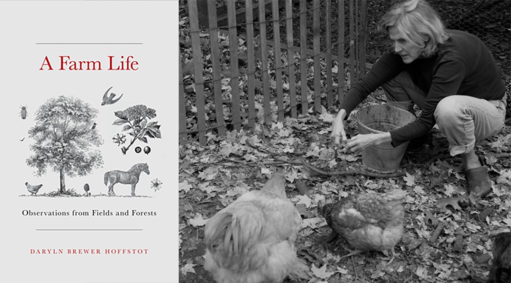 Author Visit with Daryln Brewer Hoffstot