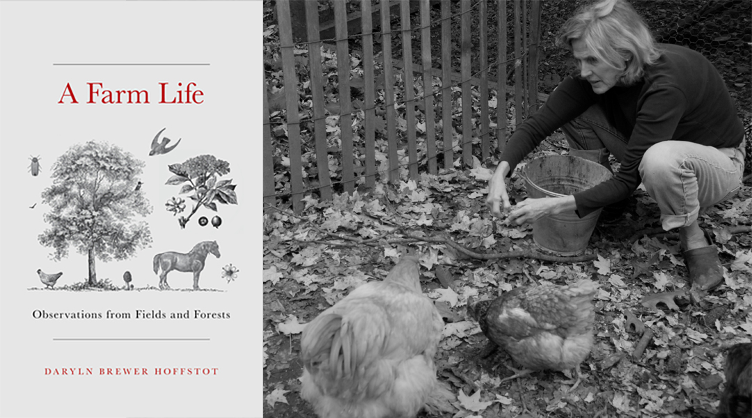 Book cover of Farm Life next to a black and white image of a woman feeding chickens.