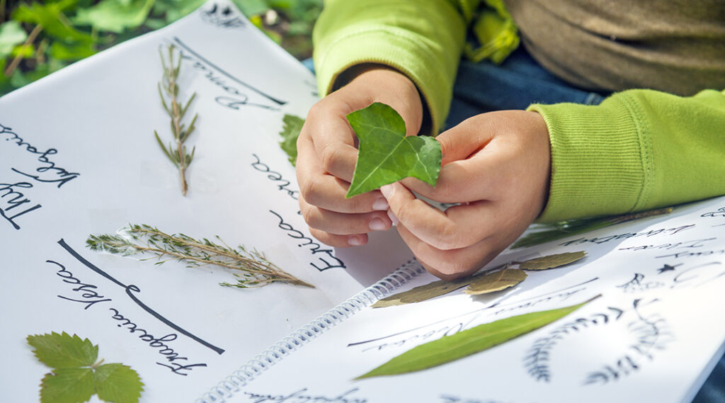 Carnegie Museum of Natural History presents Botany