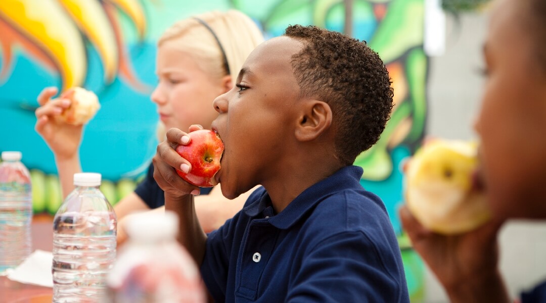 A child at lunch eating an apple.